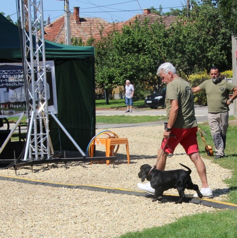 Rendezvény biztonság
